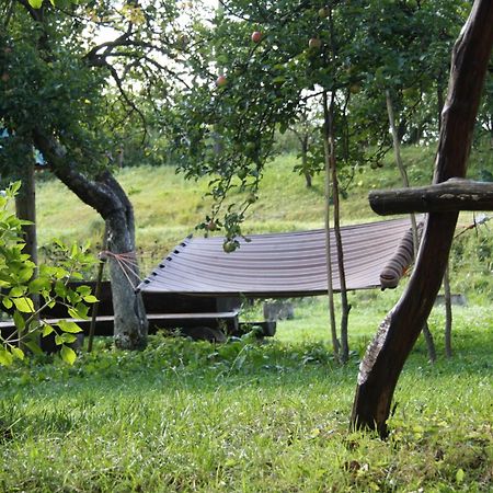 Садиба Під Гострою 泽德尼耶沃 外观 照片